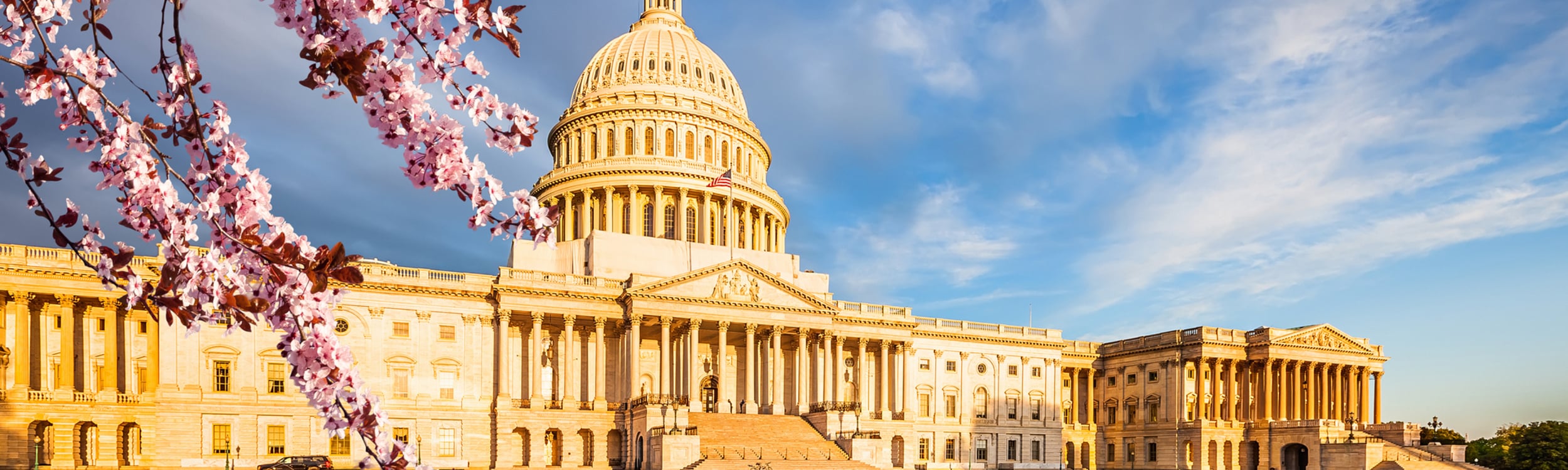 U.S. Capitol