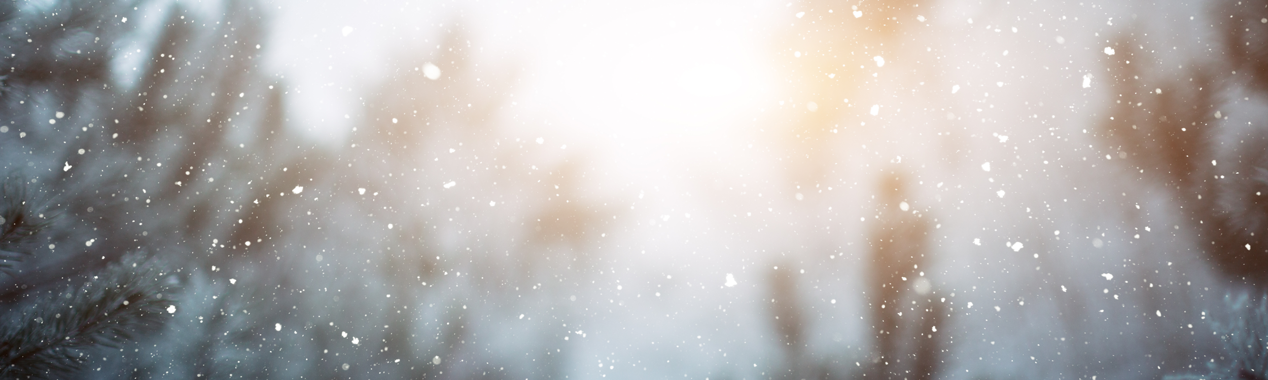 Snowy outdoor scene