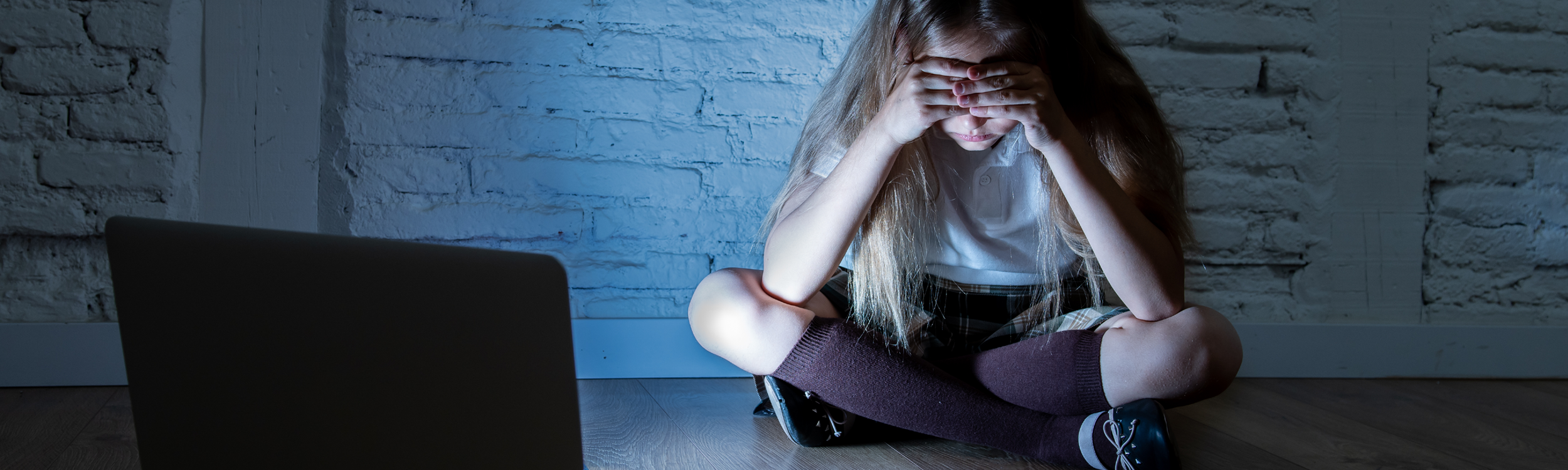 Online Dangers: Protecting Students Against Exploitation