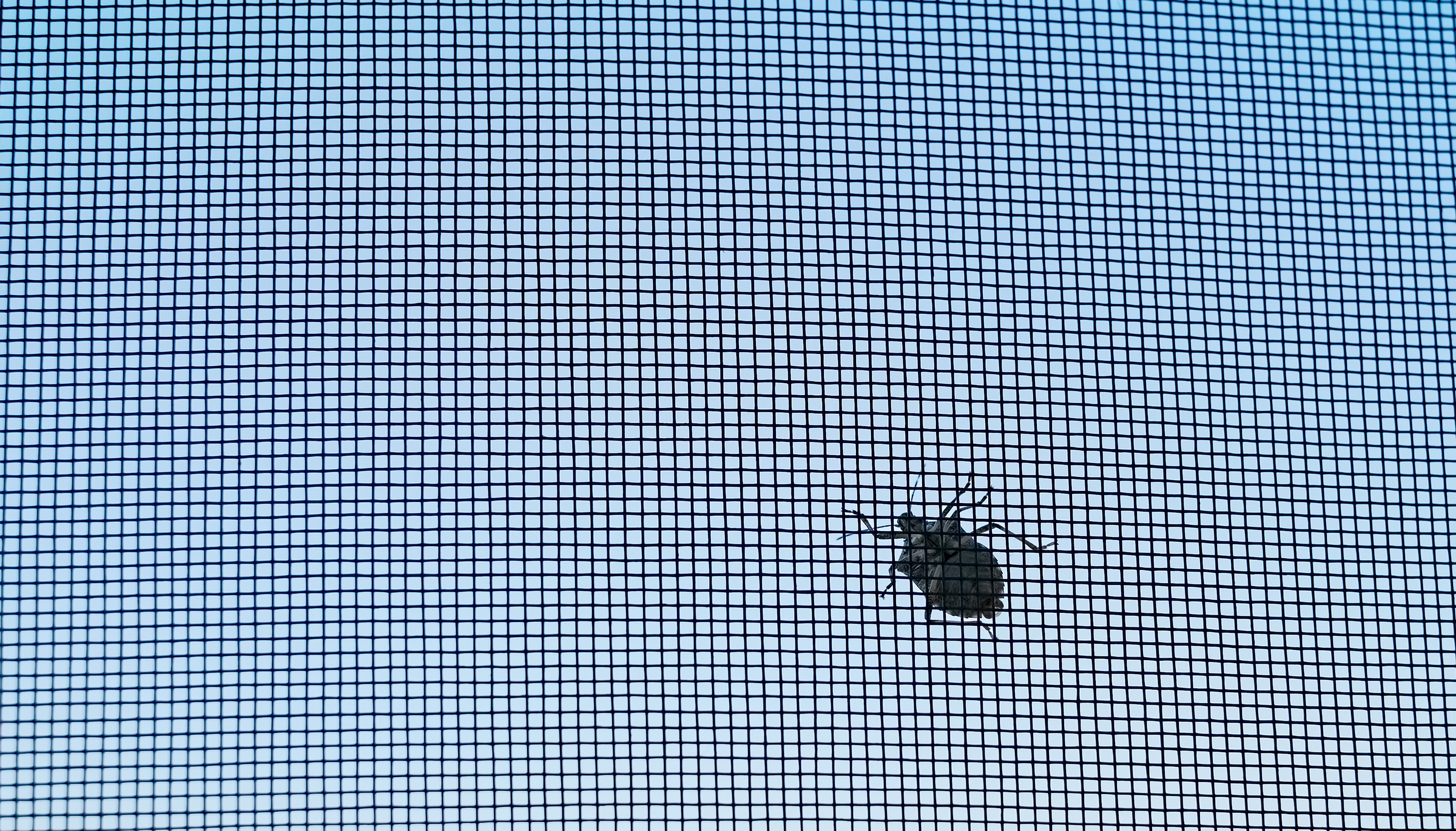 Screening Out the Bugs