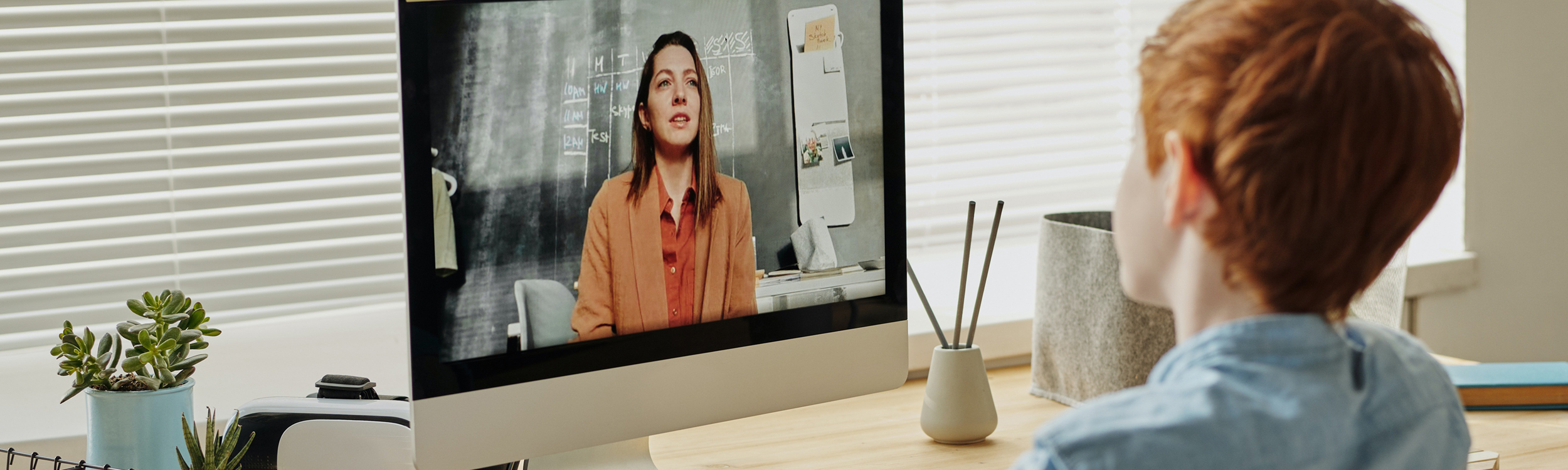 Remote education, student at computer