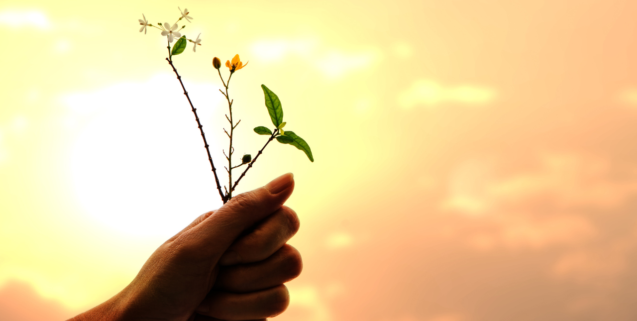 Powerful Reasons To Show Gratitude During the Holidays